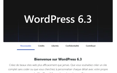 Bienvenue sur WordPress 6.3
